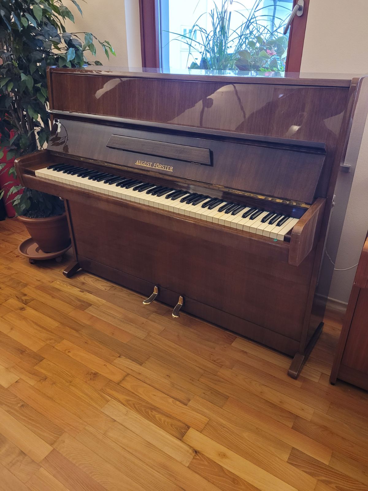 August Forster August Forster rabljen panino