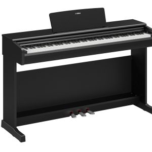 ARIUS Yamaha YDP 146